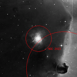 DSS image of NGC 2023