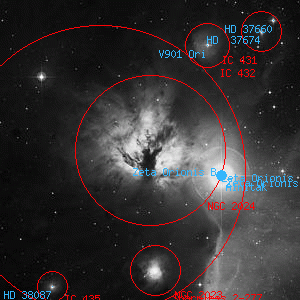 DSS image of NGC 2024