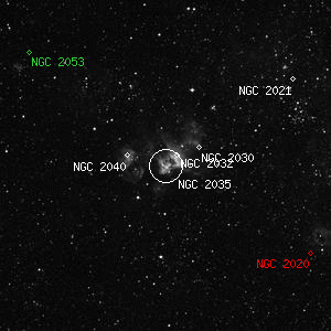 DSS image of NGC 2035