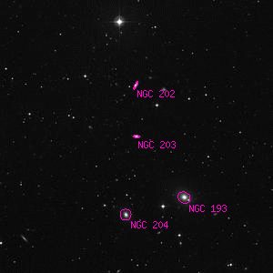 DSS image of NGC 203