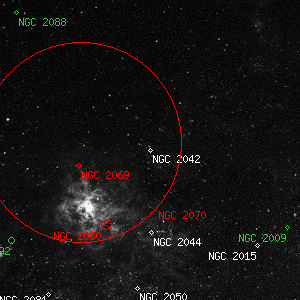 DSS image of NGC 2042