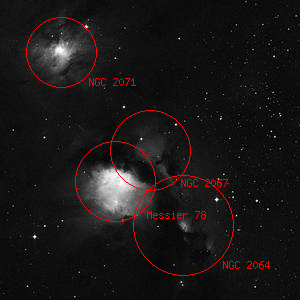 DSS image of NGC 2067