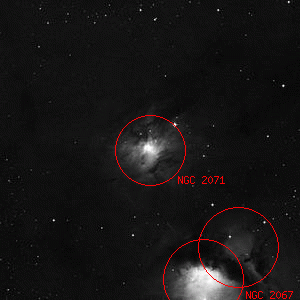 DSS image of NGC 2071