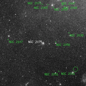 DSS image of NGC 2075