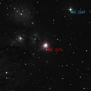 DSS image of NGC 2170