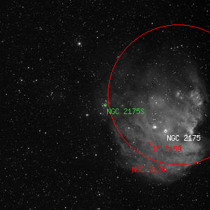 DSS image of NGC 2175S