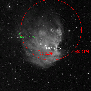 DSS image of NGC 2175