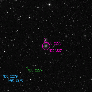 DSS image of NGC 2274