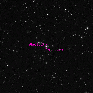 DSS image of NGC 2329