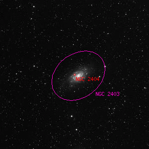 DSS image of NGC 2404