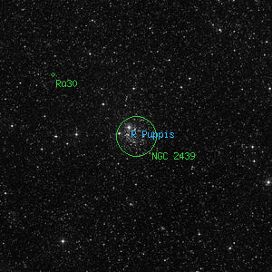 DSS image of NGC 2439