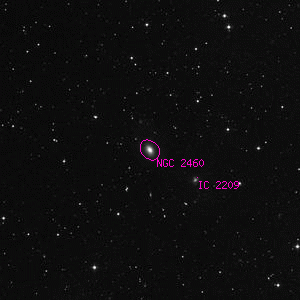 DSS image of NGC 2460