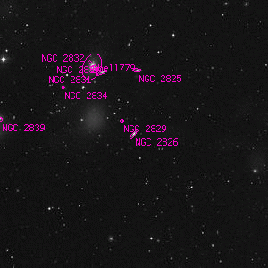 DSS image of NGC 2826