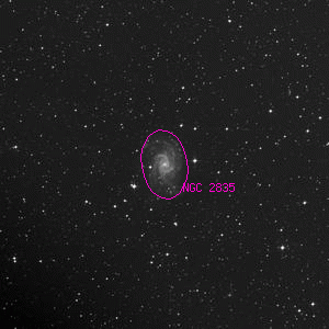 DSS image of NGC 2835
