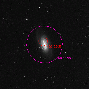 DSS image of NGC 2903