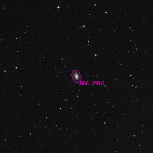 DSS image of NGC 2916
