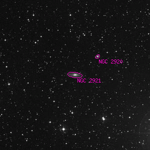DSS image of NGC 2921