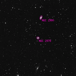 DSS image of NGC 2978