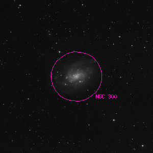DSS image of NGC 300