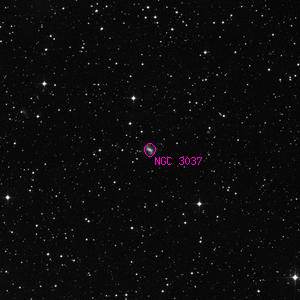 DSS image of NGC 3037