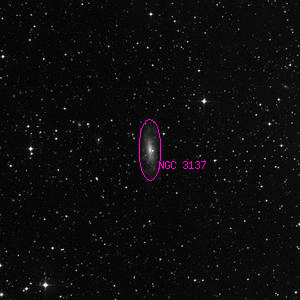 DSS image of NGC 3137