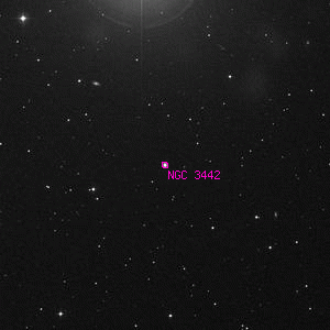 DSS image of NGC 3442
