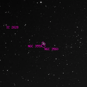 DSS image of NGC 3559