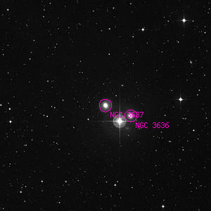 DSS image of NGC 3637