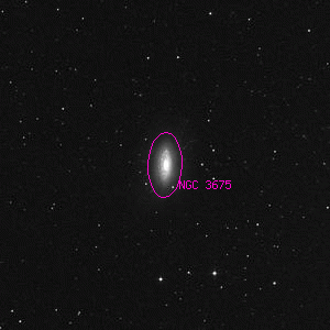 DSS image of NGC 3675