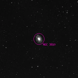 DSS image of NGC 3810
