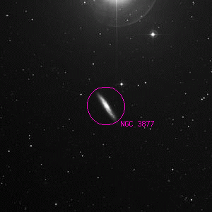 DSS image of NGC 3877