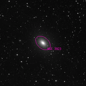 DSS image of NGC 3923