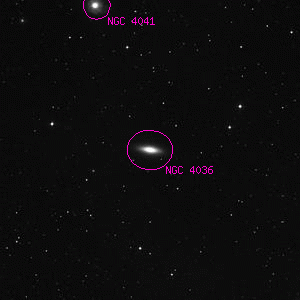 DSS image of NGC 4036