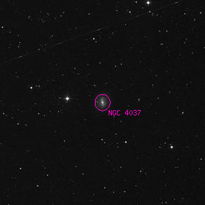 DSS image of NGC 4037