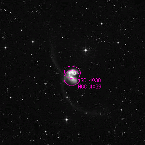 DSS image of NGC 4038