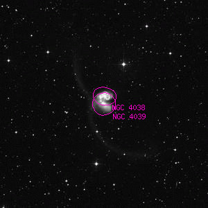 DSS image of NGC 4039