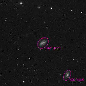 DSS image of NGC 4123