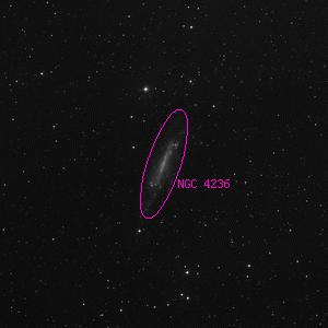 DSS image of NGC 4236