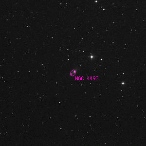 DSS image of NGC 4493
