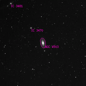 DSS image of NGC 4503