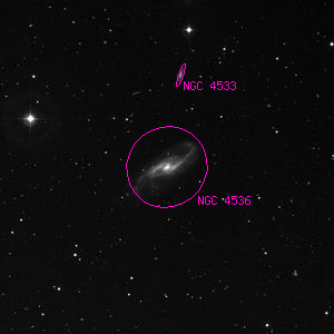 DSS image of NGC 4536