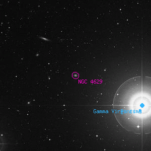 DSS image of NGC 4629