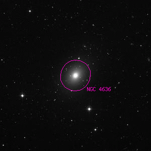 DSS image of NGC 4636