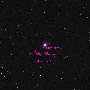 DSS image of NGC 4825