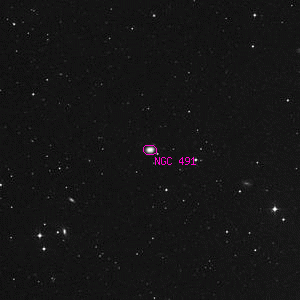 DSS image of NGC 491
