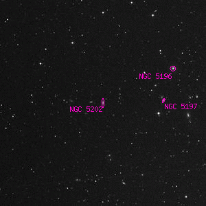 DSS image of NGC 5202