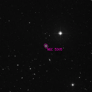 DSS image of NGC 5305