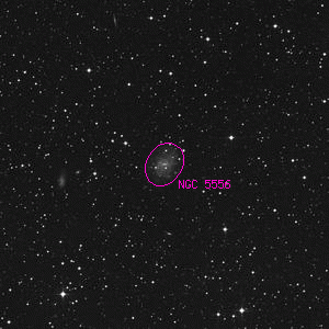DSS image of NGC 5556