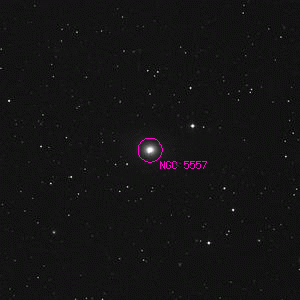 DSS image of NGC 5557