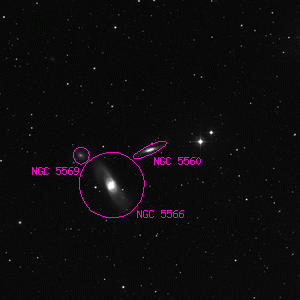 DSS image of NGC 5560